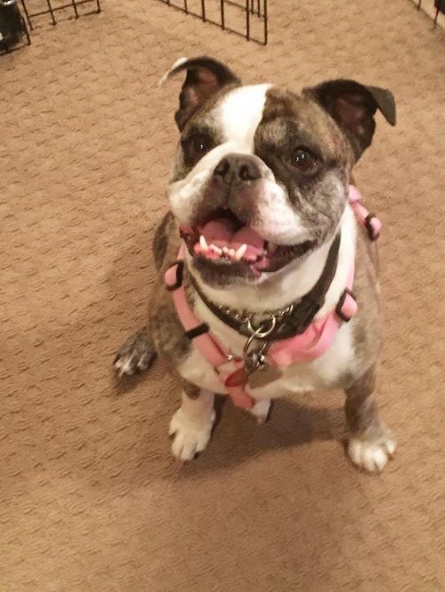 . LULU .