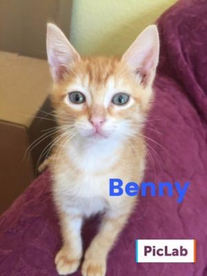 . Benny .