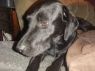 Shelly *Here in NH*