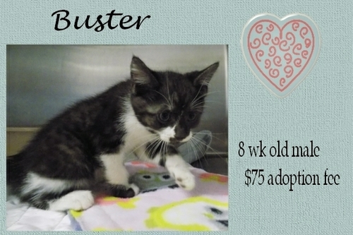 . Buster .