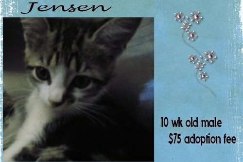 . Jensen .