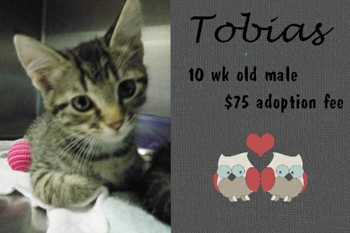 . Tobias .