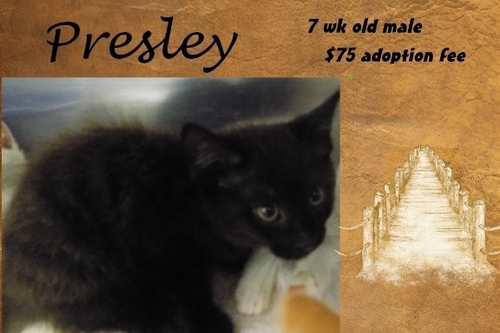 . Presley .