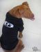. Vizsla mix .