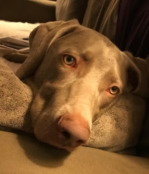 . Jasper .