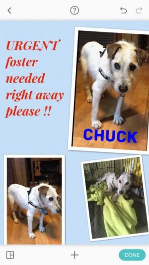 . Chuck/MS .