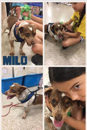 . Milo .