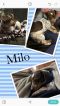 . Milo .