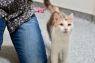 . Furonica - $1.30 Adoption Fee in June .