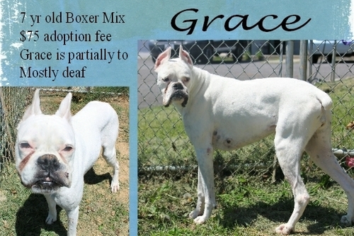 . Grace .