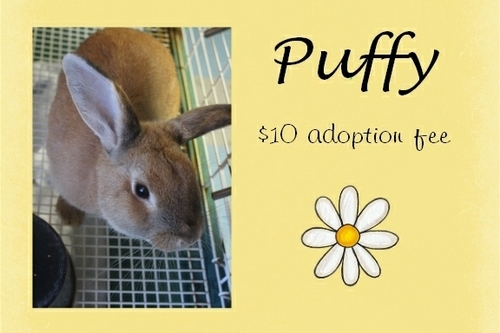 . Puffy .