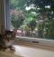 . Kenji (and Keiko) .