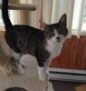 . Sweet Hope (momcat) at Doris's .