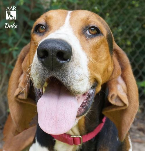 . Duke .