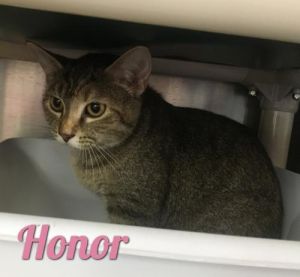 . Honor .
