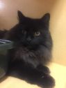 . Dusty -I'm waiting for you at Petsmart Manchester! .