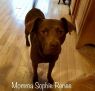 . Tippi Renee .