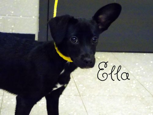 . Ella .