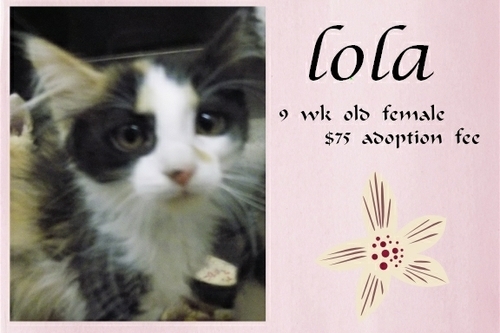 . Lola .