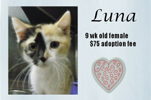. Luna .