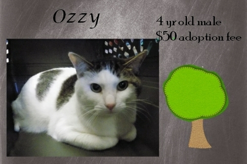 . Ozzy .