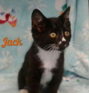 . Jack .