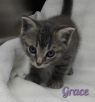 . Grace .