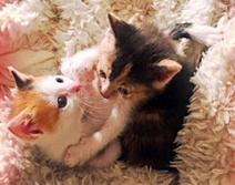 . Gwendolyn & Pixie .