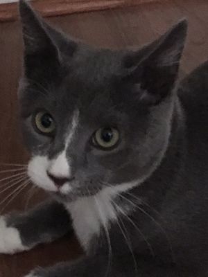 . Moe .