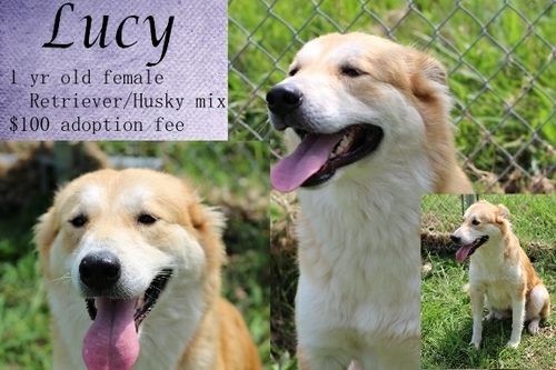 . Lucy .