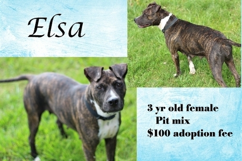 . Elsa .