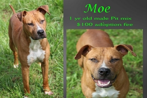 . Moe .