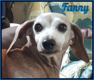 . Fanny .