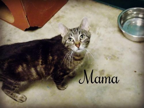 . Mama .