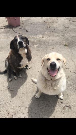 . Rocko & Spunky .