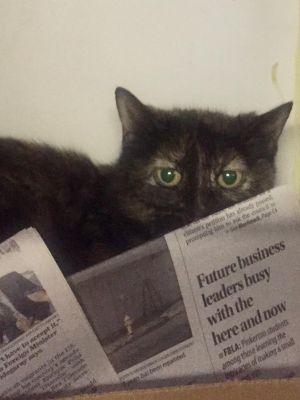 . Tyra-I am just the sweetest little girl! .