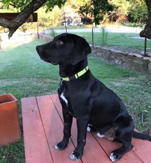 . Rufus .