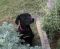 . Maggie .