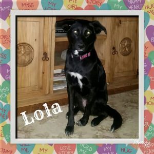 . Lola .
