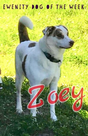 . Zoey .