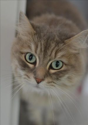 . Mya .