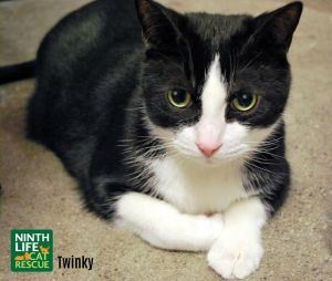 . Twinky .