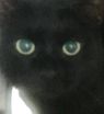 . Gin- a mysterious girl! .