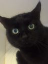 . Gin- a mysterious girl! .