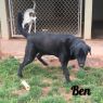 . Ben .