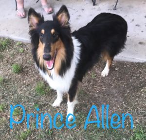 . Prince Allen .