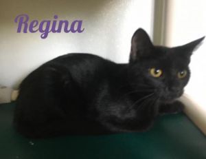 . Regina .