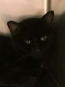 . Damien- Come visit me soon! .