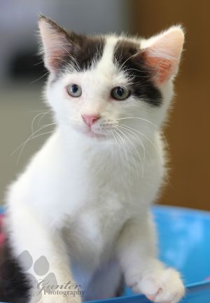 . Nikki's foster, Janie .