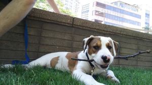 . Baxter .